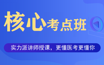 执业护士核心考点班